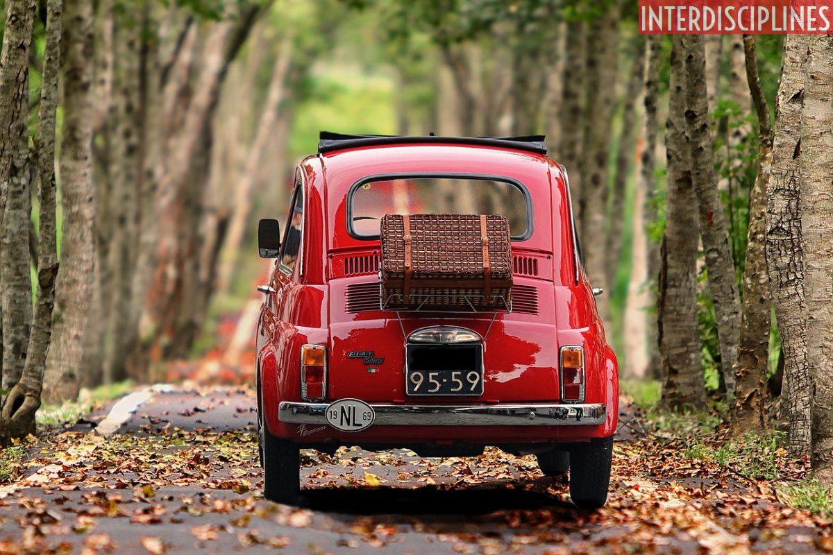 fiat 500, automobile, trees