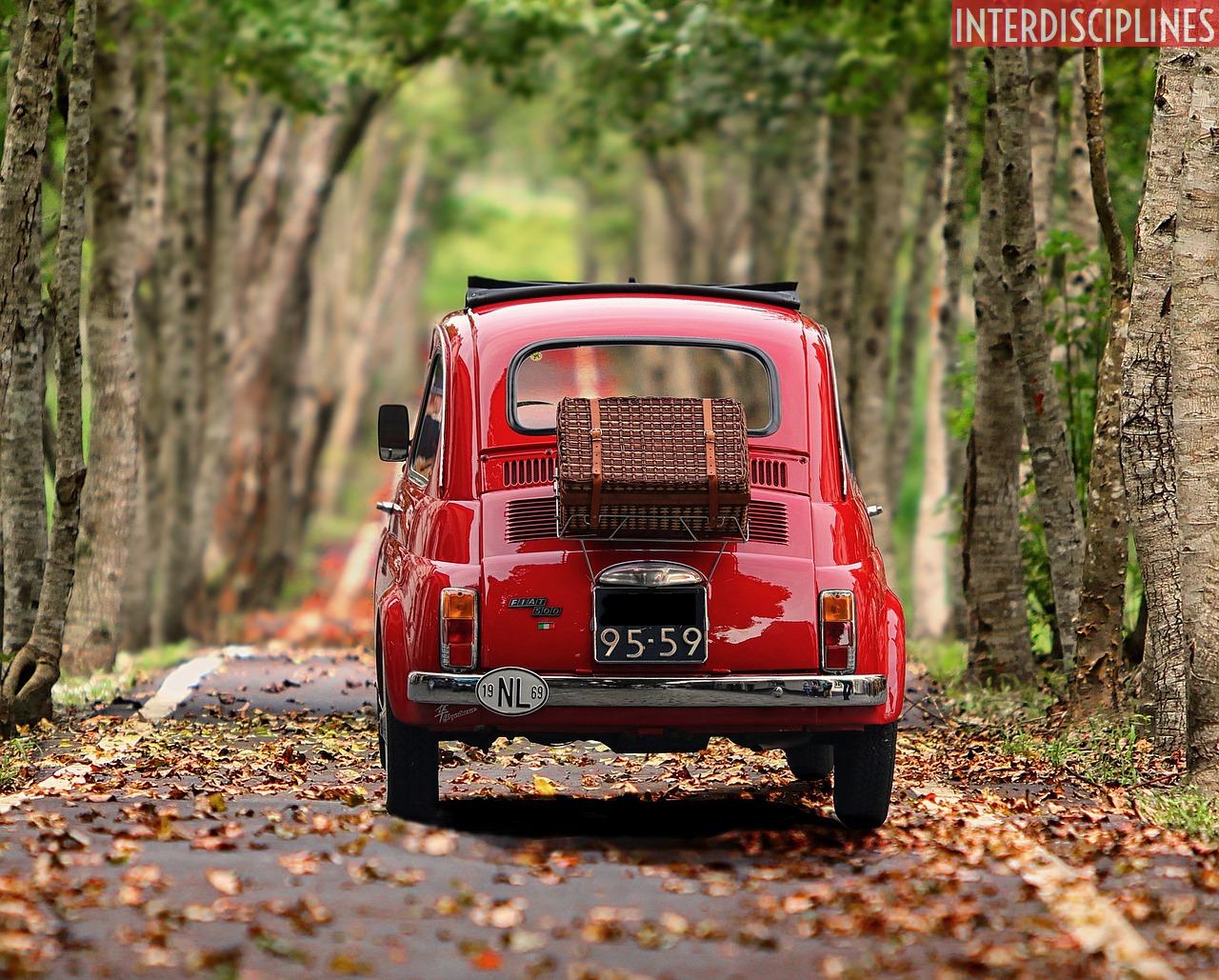 fiat 500, automobile, trees