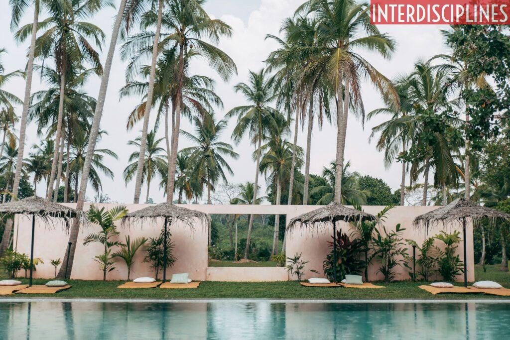 palm trees near swimming pool during daytime