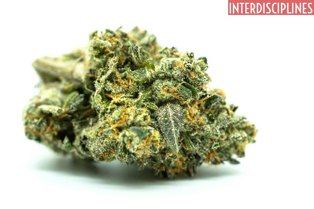 Beneficios del hash hhx 
